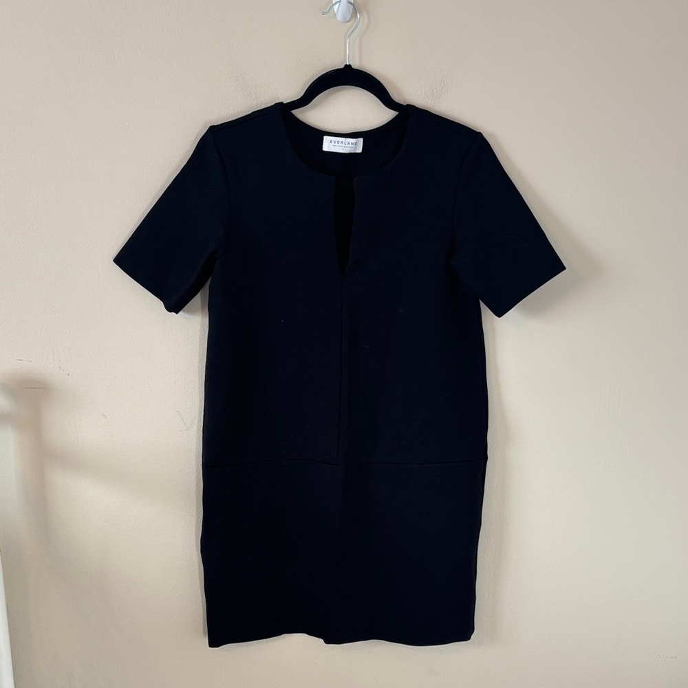 Everlane The Ponte Thick Knit Stretch Shift Dress
